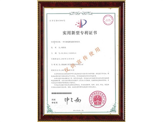 一種車輛超限超載檢測系統(tǒng)實用新型專利